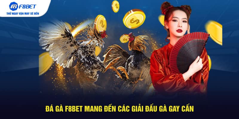 Đá gà F8BET mang đến các giải đấu gà gay cấn