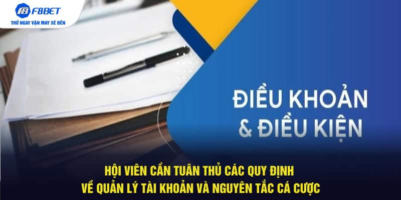 Hội viên cần tuân thủ các quy định về quản lý tài khoản và nguyên tắc cá cược